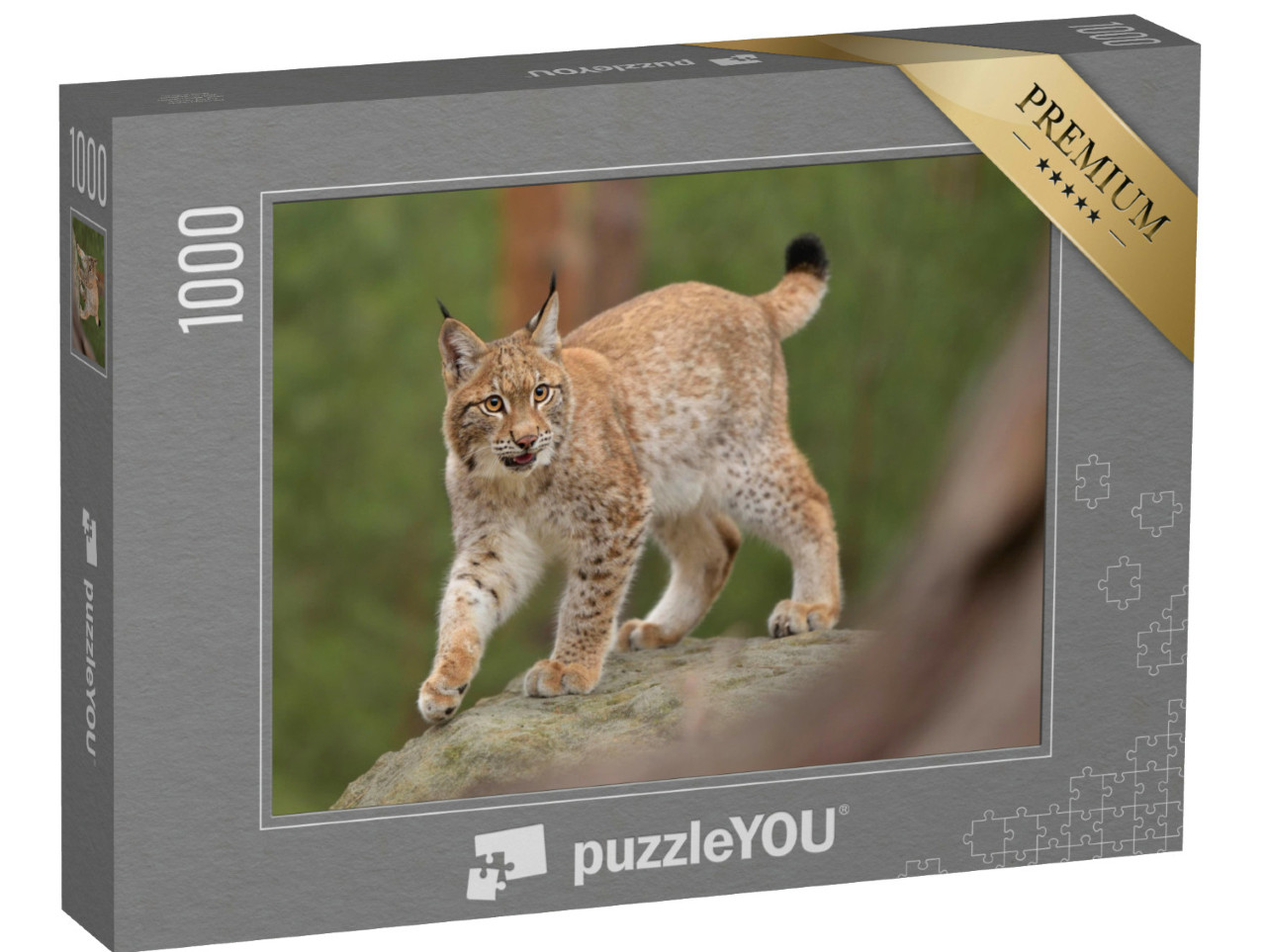 puzzle 1000 dílků „Rys ostrovid v přirozeném prostředí, Česká republika“