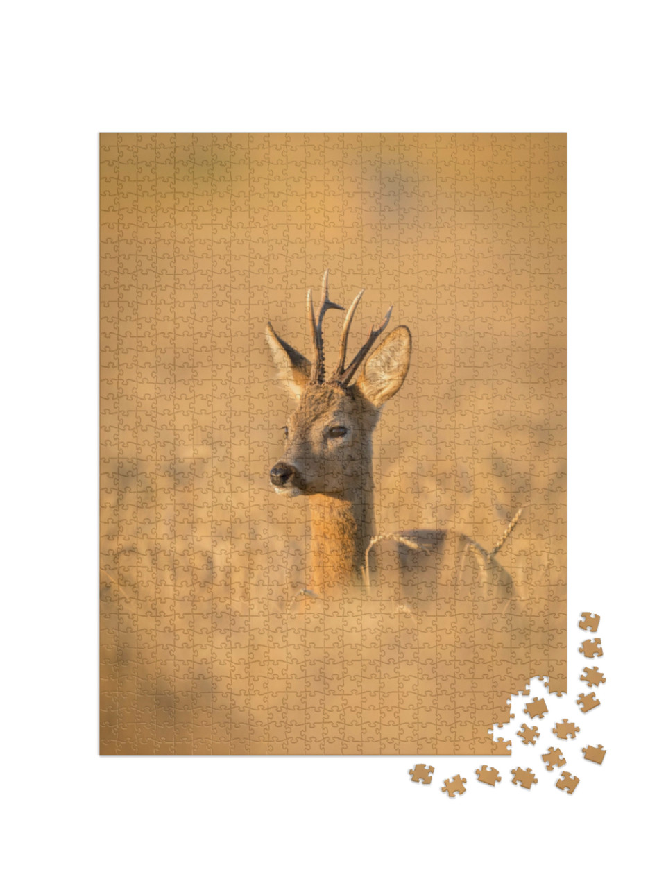 puzzle 1000 dílků „Roebuck v poli klasů“