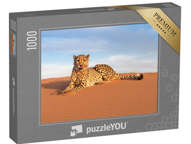 puzzle 1000 dílků „Gepardi v táboře Kanaan N/a'an ku se Desert Retreat Camp“