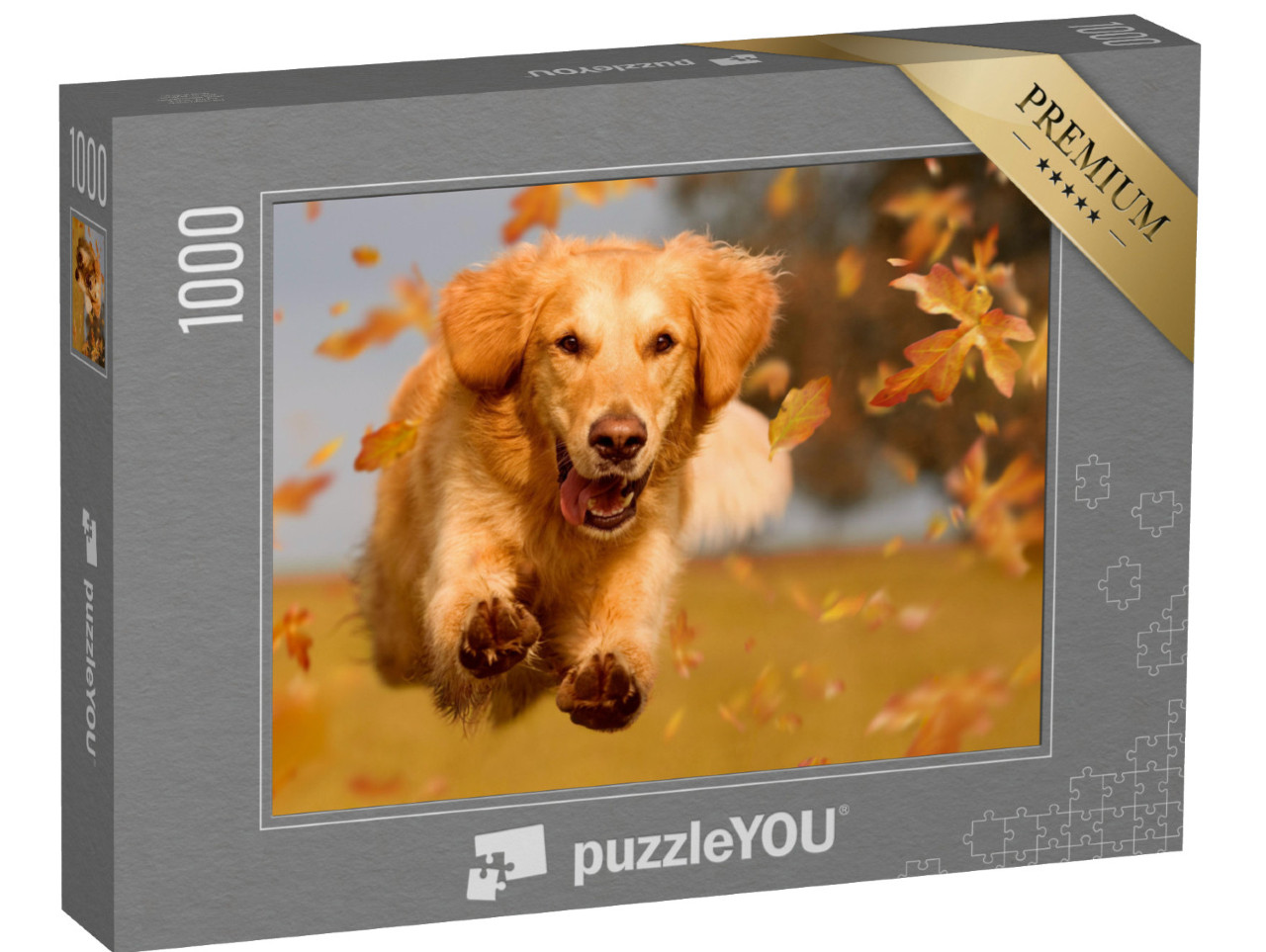 puzzle 1000 dílků „Zlatý retrívr skotačí v podzimním listí“