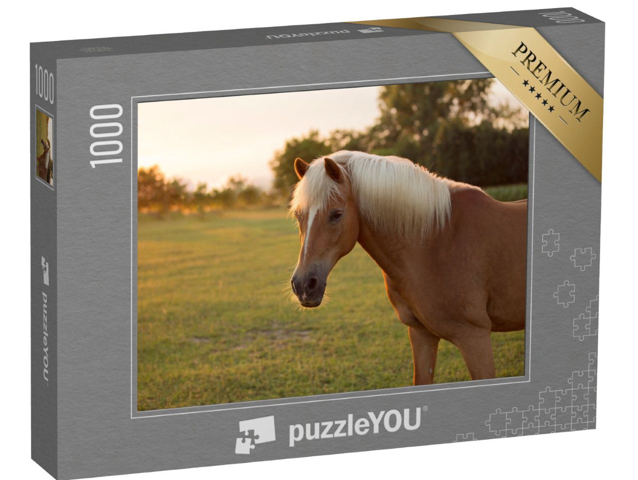 puzzle 1000 dílků „Kůň plemene Palomino Hafling na pastvině“