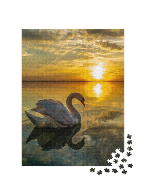 puzzle 1000 dílků „Bílá labuť na klidné vodě při západu slunce“
