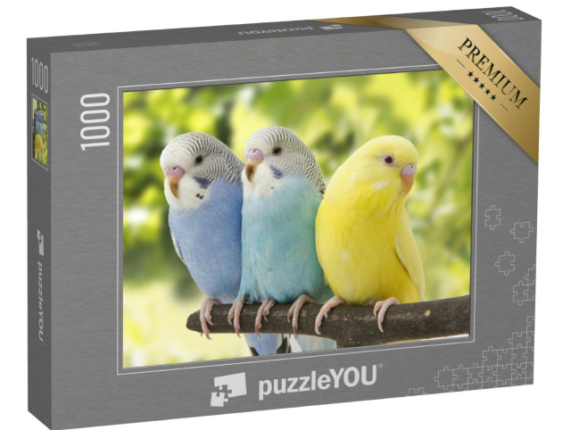 puzzle 1000 dílků „Tři andulky na větvi“