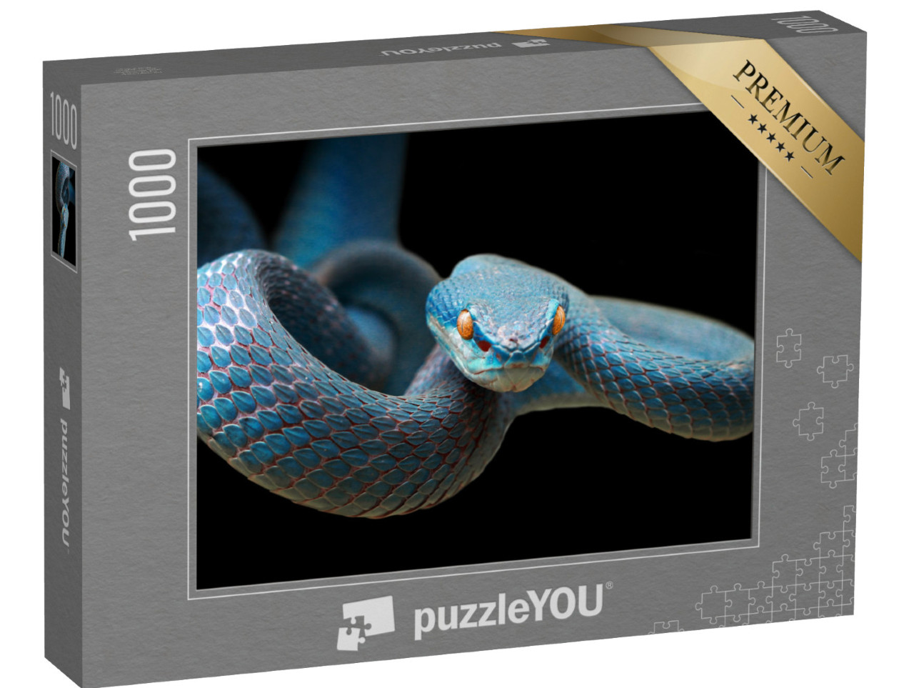 puzzle 1000 dílků „Modrá zmije na větvi připravená zaútočit na kořist“