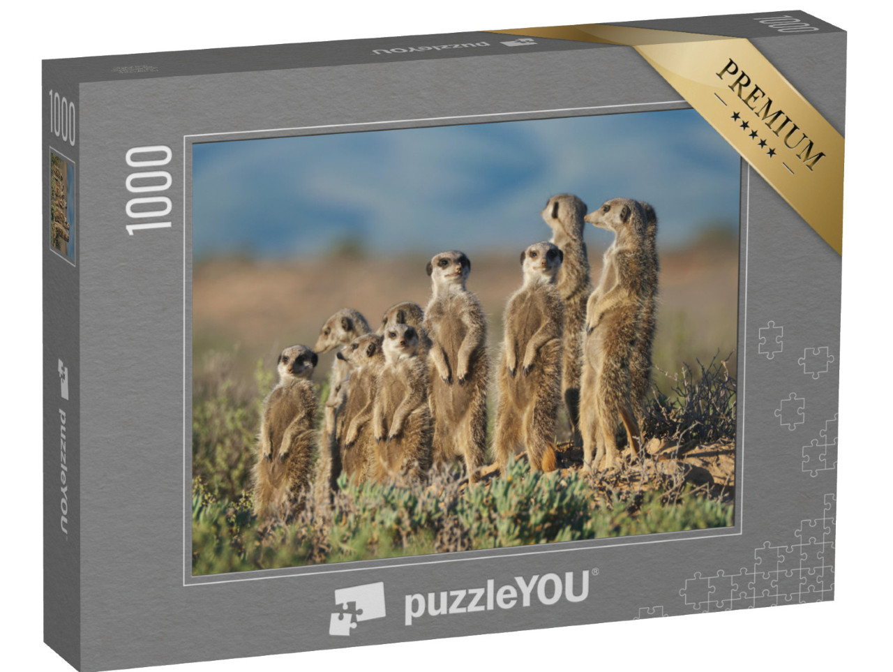 puzzle 1000 dílků „Surikatí rodinka v Jižní Africe“