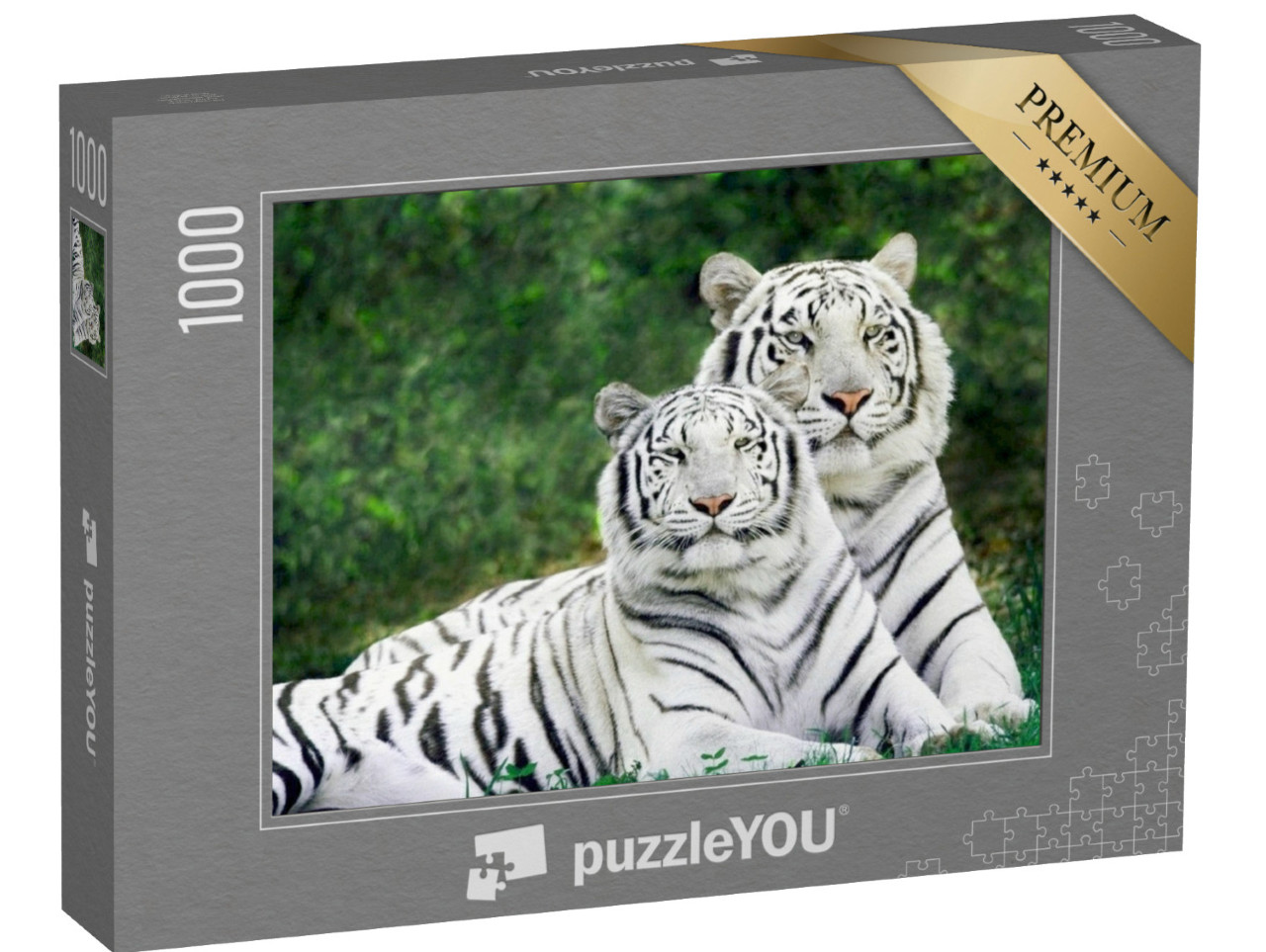 puzzle 1000 dílků „Dva krásní bílí tygři“
