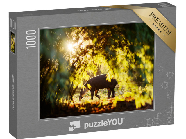 puzzle 1000 dílků „Tapír ve slunečním světle v lese v zoo“