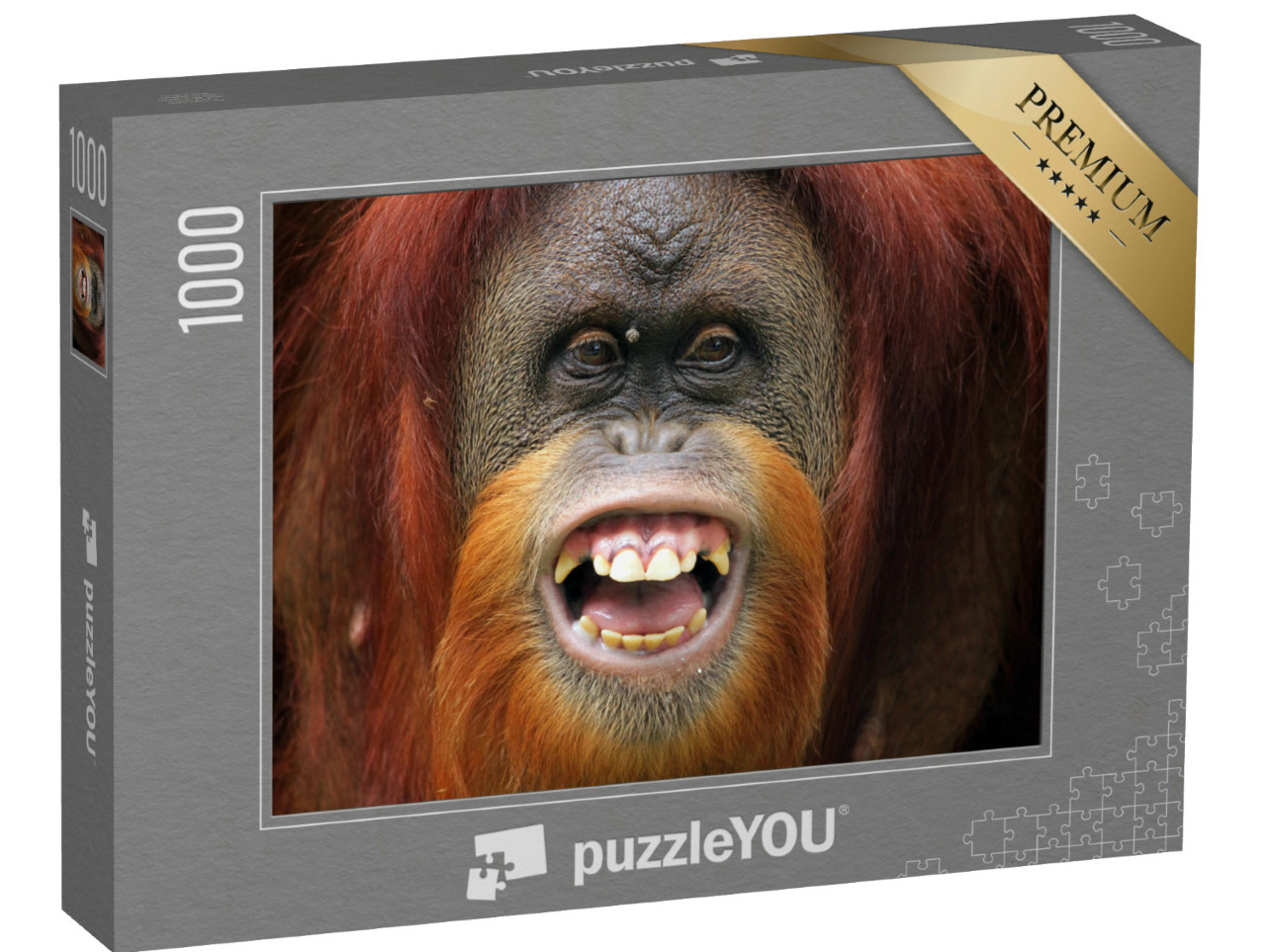 puzzle 1000 dílků „Tvář orangutana Sumateran“