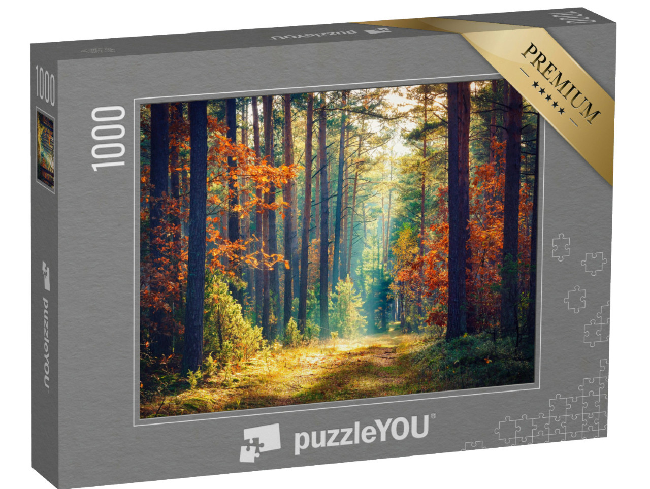 puzzle 1000 dílků „Slunečný podzimní les“