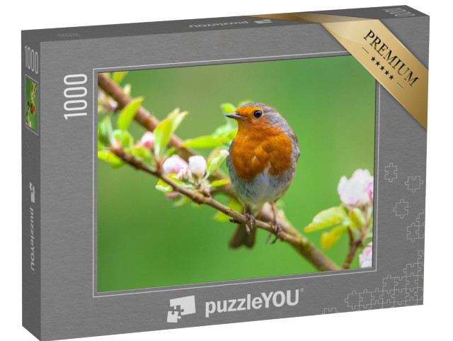 puzzle 1000 dílků „Robin mezi bílými květy ovoce“