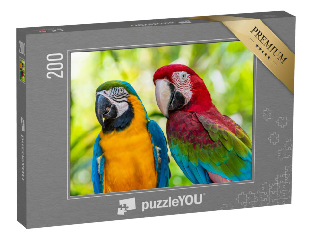 puzzle 200 dílků „Papoušek, Macaw“