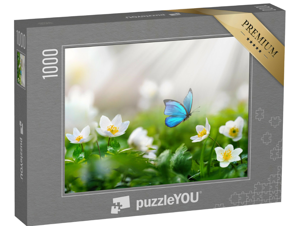 puzzle 1000 dílků „Místo přistání modráska“