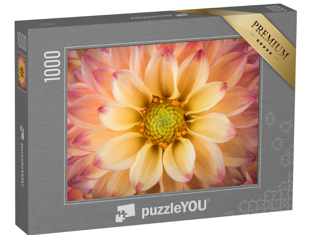 puzzle 1000 dílků „Detailní záběr jiřiny“