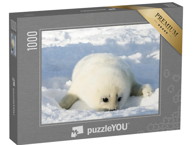 puzzle 1000 dílků „Novorozený, načechraný bílý tuleň“