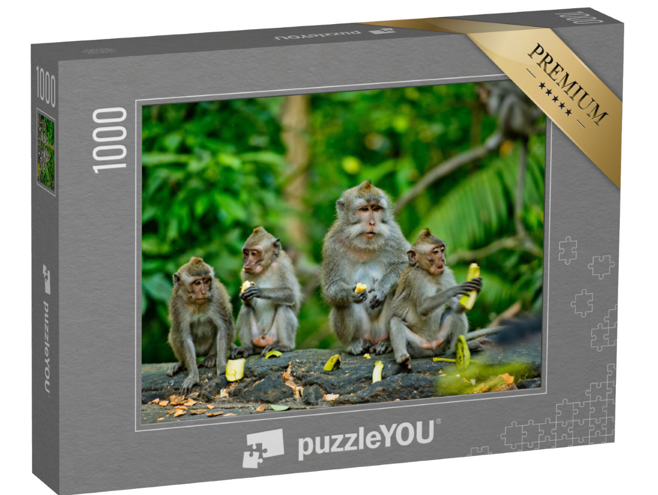 puzzle 1000 dílků „Dospělé opice pojídající banány, Bali“