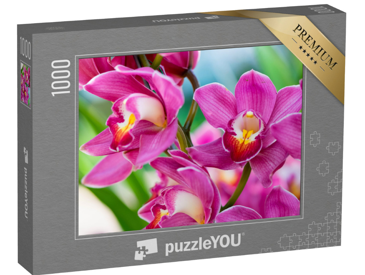 puzzle 1000 dílků „Orchideje v Královském parku Rajchapuak, Chiangmai, Thajsko“