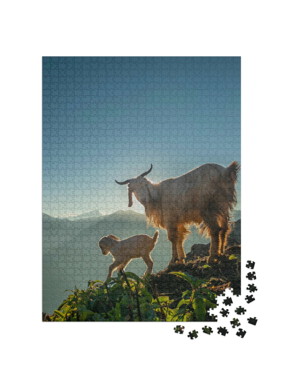 puzzle 1000 dílků „Koza a její kůzle v horách v ranním slunci“