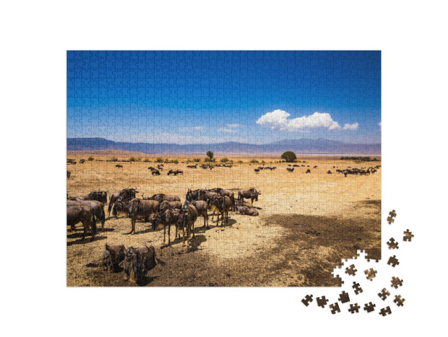 puzzle 1000 dílků „Kráter Ngorongoro v Tanzanii“