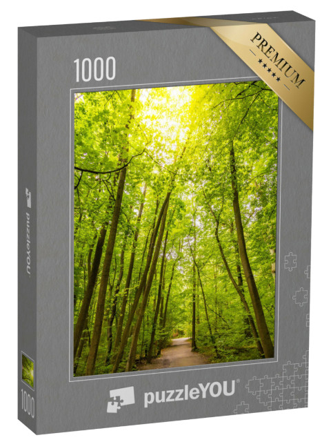 puzzle 1000 dílků „Turistická stezka v bukových lesích národního parku Hainich, Německo“