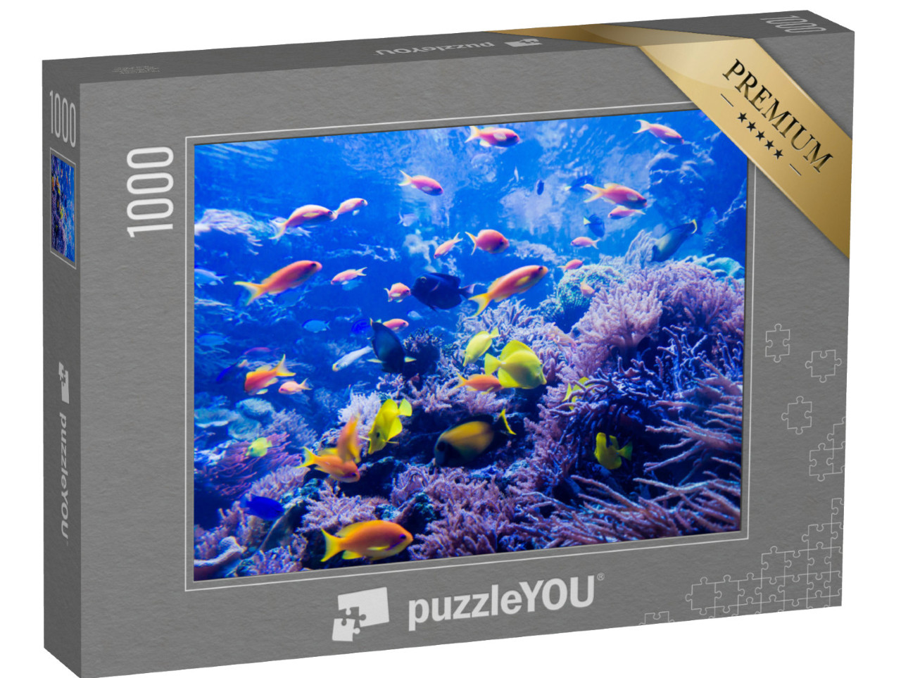 puzzle 1000 dílků „Krásný podmořský svět“