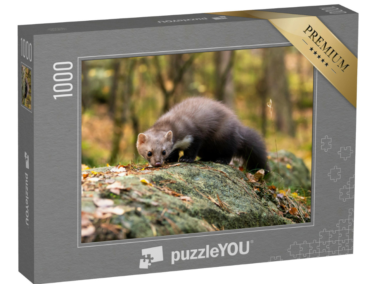 puzzle 1000 dílků „Kuna lesní při hledání potravy v lese“