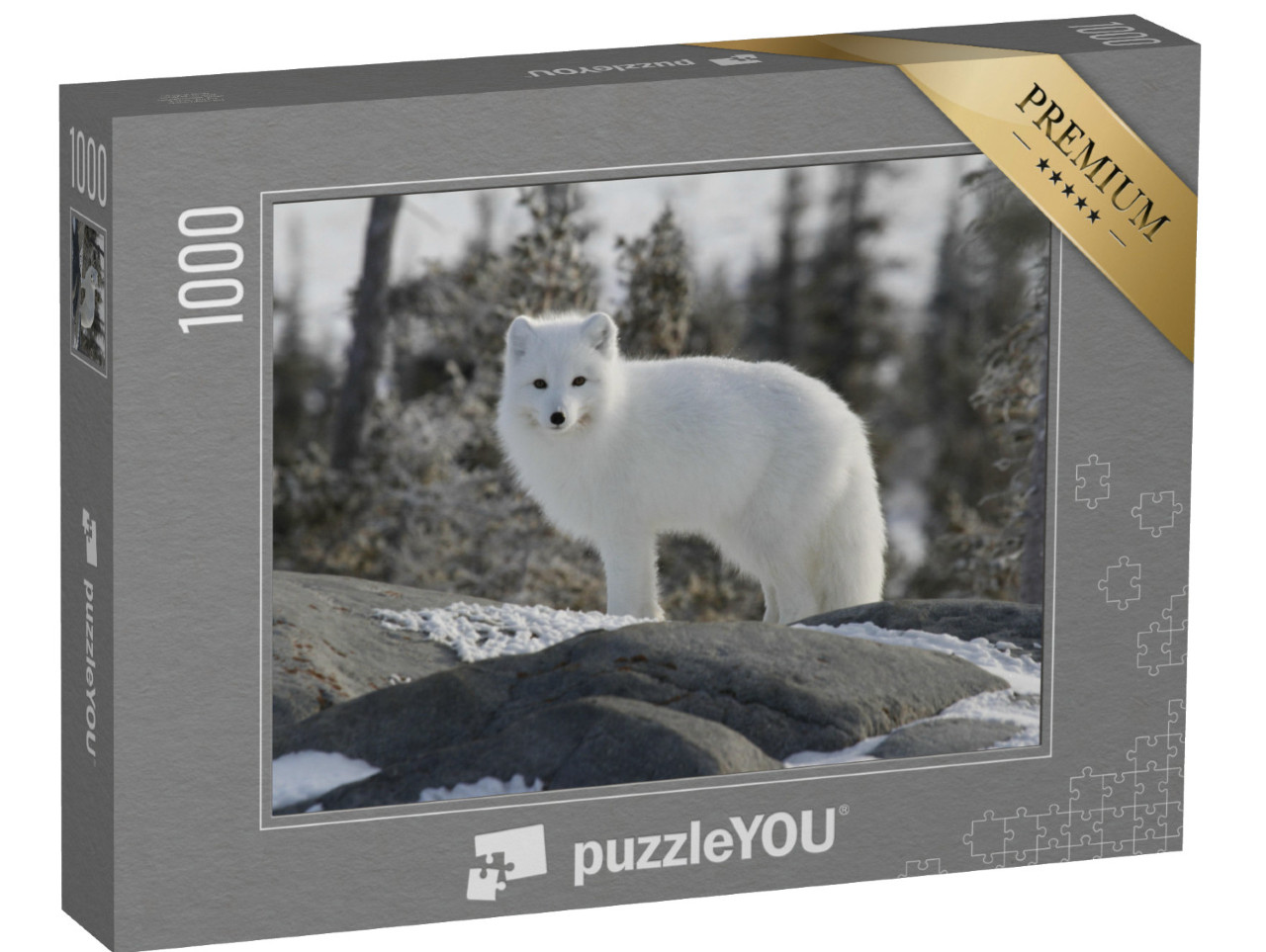 puzzle 1000 dílků „Liška polární, Vulpes lagopus, v bílé zimní kožešině“