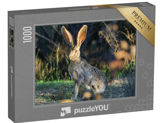 puzzle 1000 dílků „Arizona Jack Rabbit v poušti“