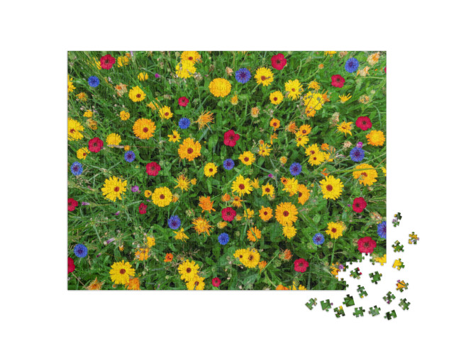 puzzle 1000 dílků „Barevná květinová louka v létě“