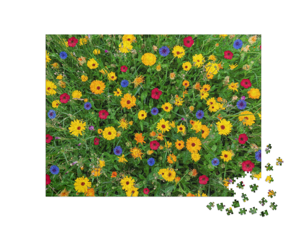 puzzle 1000 dílků „Barevná květinová louka v létě“