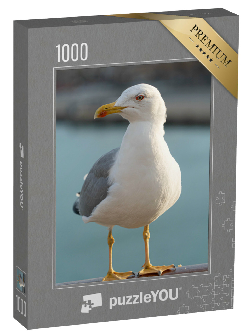 puzzle 1000 dílků „Šedobílý opeřený racek“