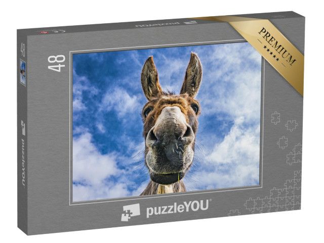 puzzle 48 dílků „Detailní záběr osla“
