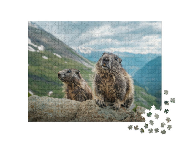 puzzle 1000 dílků „Dva svišti a krásný výhled na Großglockner“