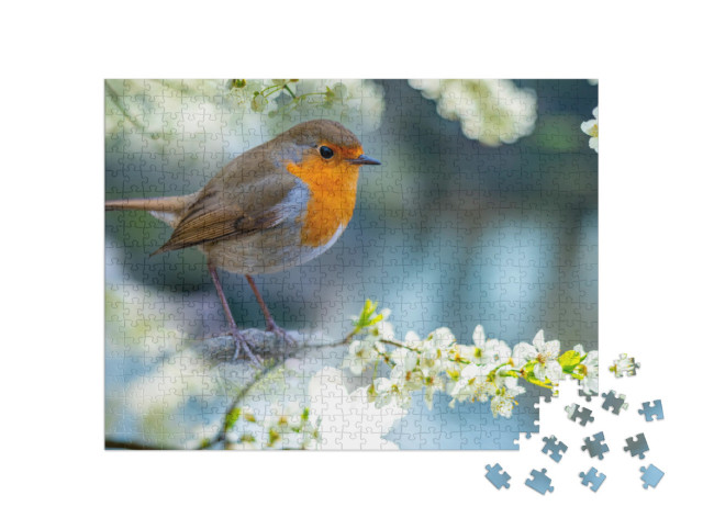 puzzle 500 dílků „Robin na bíle kvetoucí větvi“