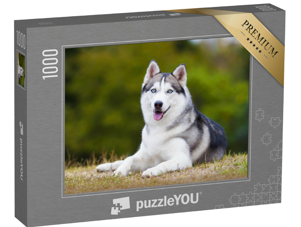 puzzle 1000 dílků „Portrét sibiřského huskyho“