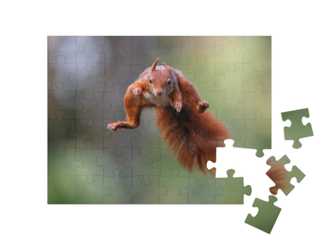 puzzle 48 dílků „Červená veverka skáče lesem“