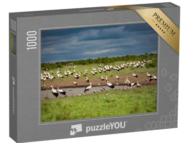 puzzle 1000 dílků „Hejno čápů bílých u napajedla“
