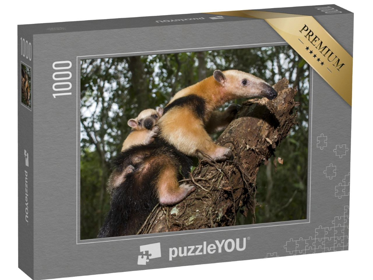 puzzle 1000 dílků „Jižní Tamandua, Espírito Santo, Brazílie“