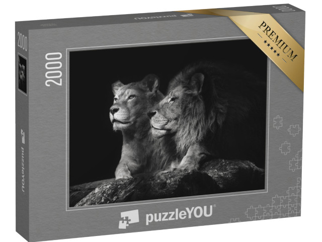 puzzle 2000 dílků „Pár lvů“