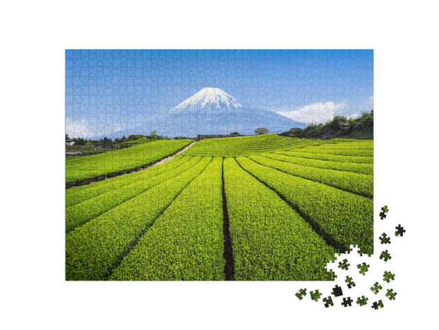 puzzle 1000 dílků „Hora Fudži s plantáží zeleného čaje, prefektura Šizuoka, Japonsko“