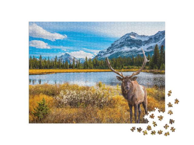 puzzle 1000 dílků „Francouzská Kanada: golfové hřiště obklopené krásným podzimním parkem“