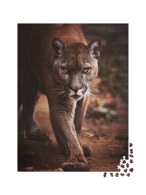 puzzle 2000 dílků „Puma se k vám připlíží“