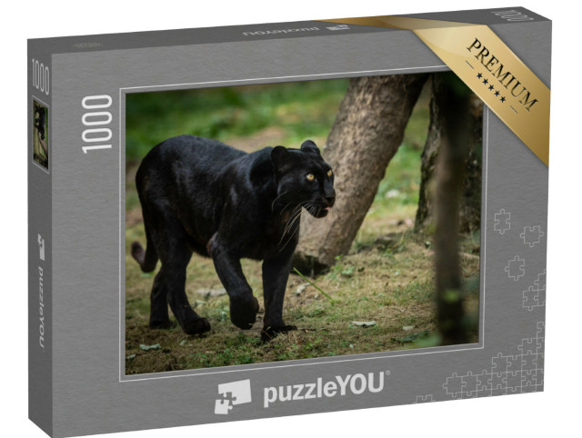 puzzle 1000 dílků „Obrázek lesa s panterem“