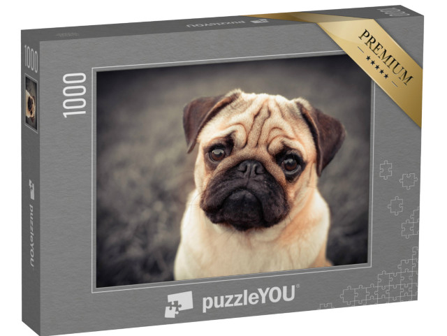 puzzle 1000 dílků „Štěně mopse“