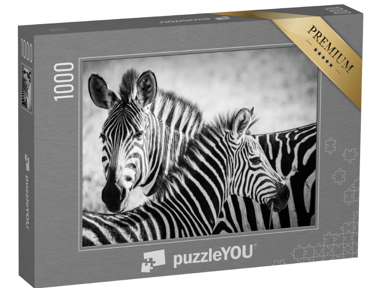 puzzle 1000 dílků „Matka zebry s mládětem v národním parku Serengeti“