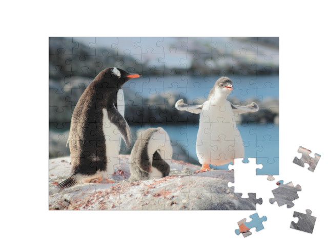 puzzle 100 dílků „Kdo je nejsilnější tučňák?“