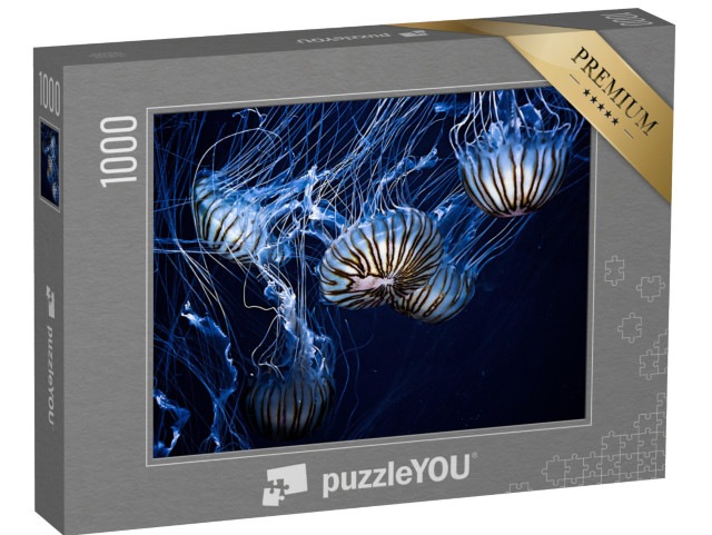 puzzle 1000 dílků „Magicky zářící medúzy ve tmě pod vodou“