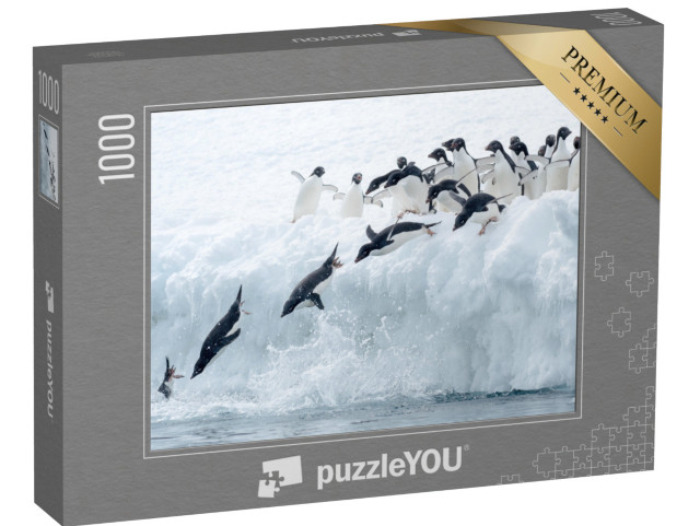 puzzle 1000 dílků „Tučňák Adélie skáče do ledové vody“