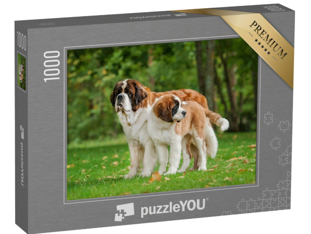 puzzle 1000 dílků „Dva bernardýni na trávníku“