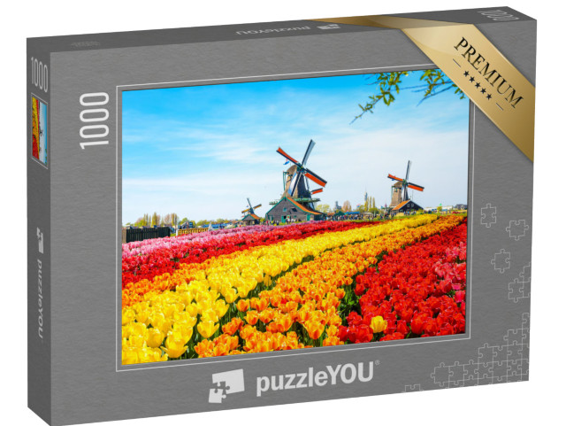 puzzle 1000 dílků „Tulipány a větrné mlýny v Zaanse Schans, Nizozemsko“