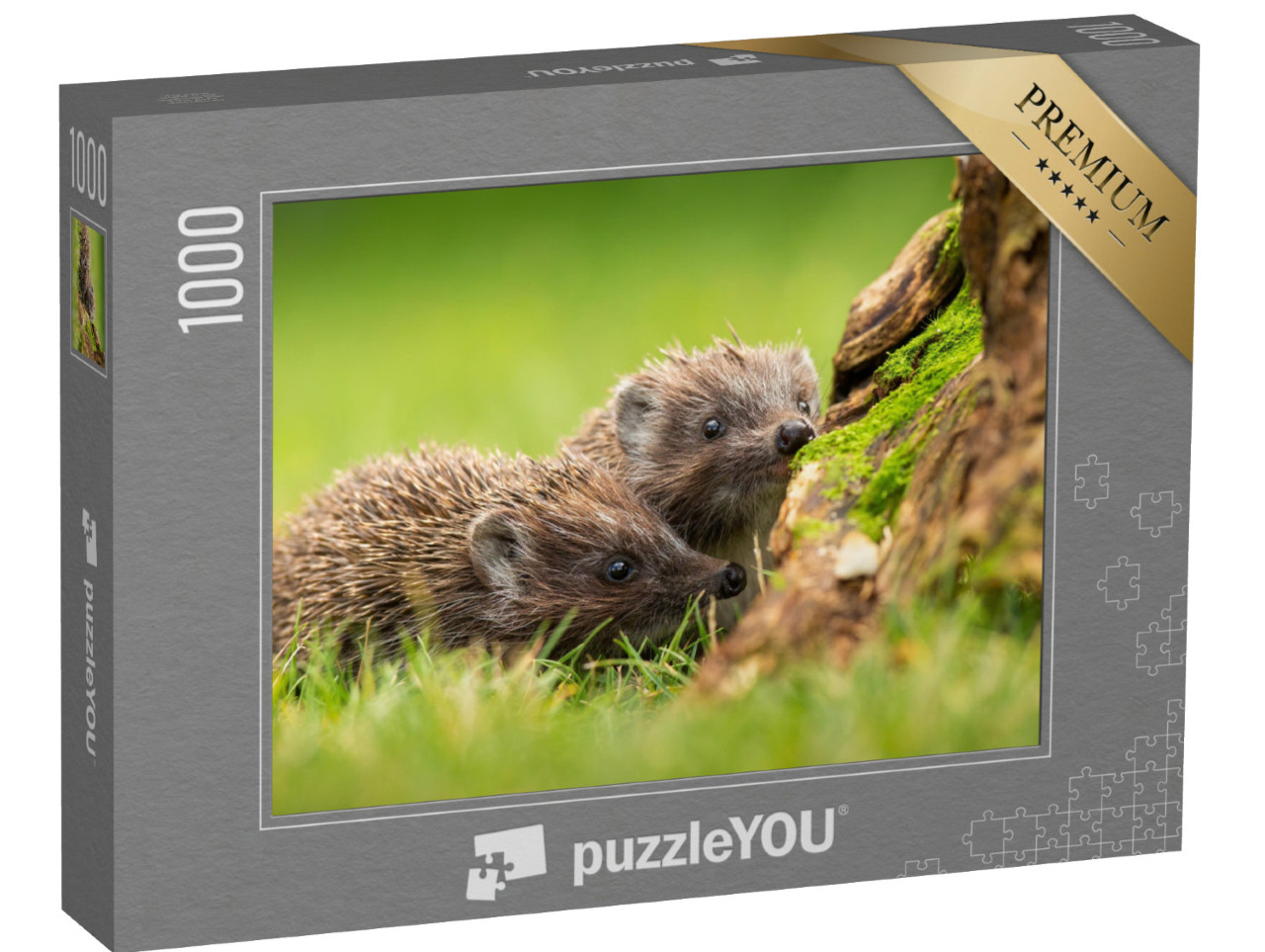 puzzle 1000 dílků „Dva ježci bělobřichí čenichající na zelené louce“